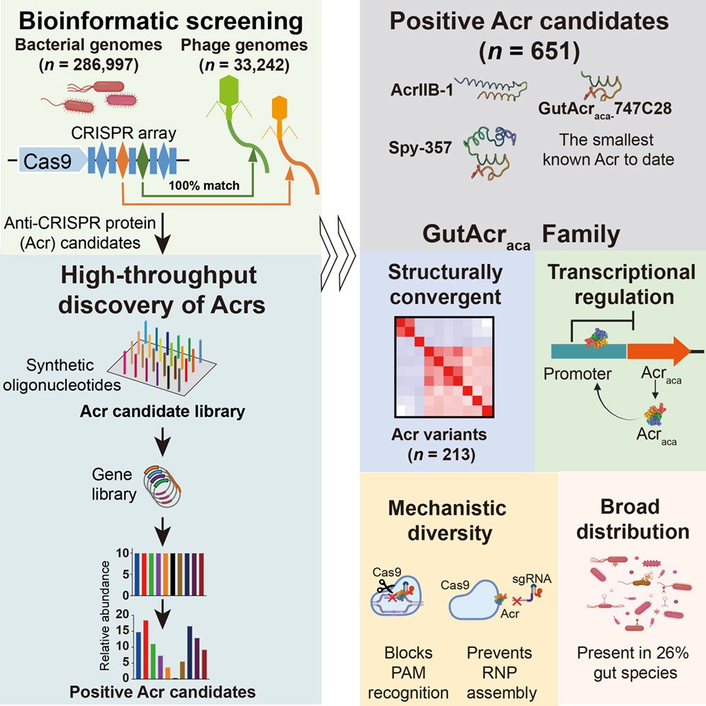 MicrobesInfect tweet media