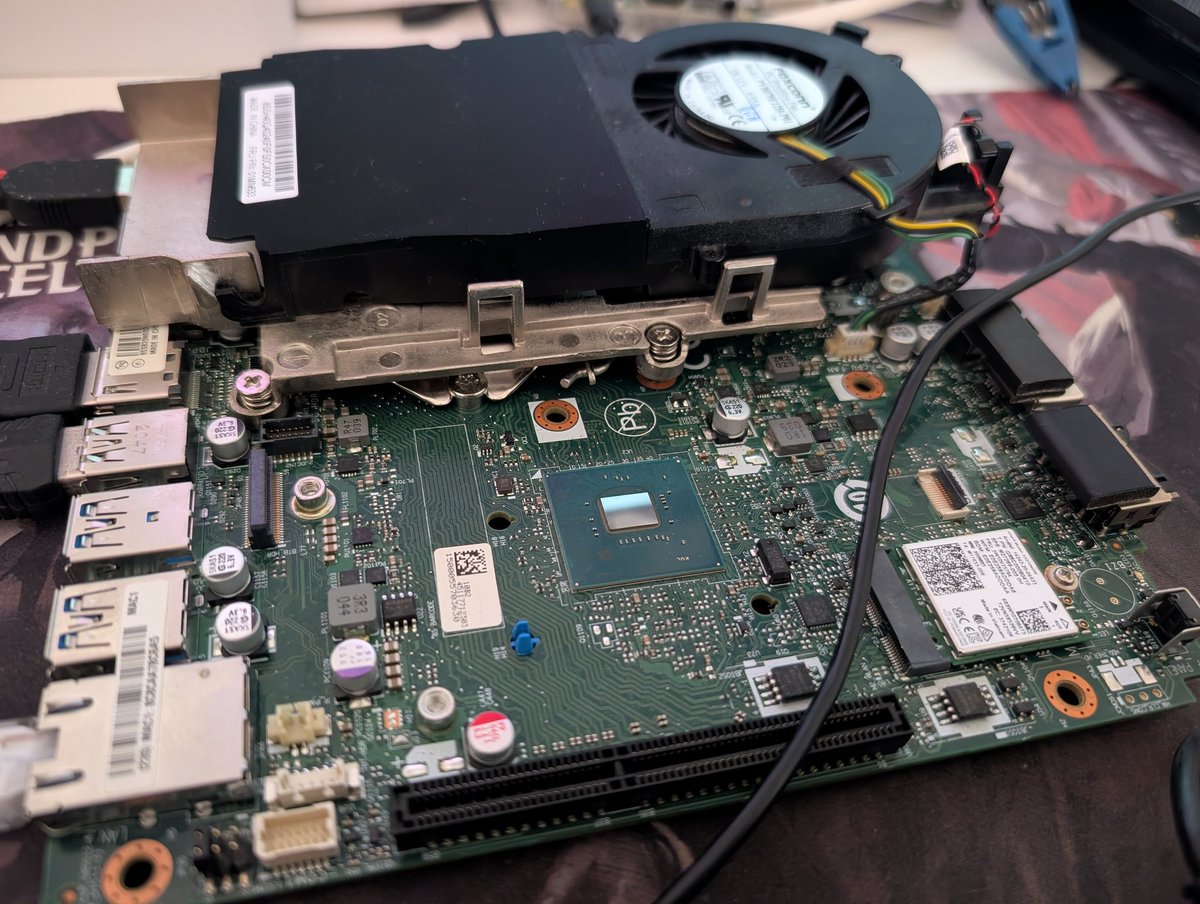 ChavoTheDruid #freeSamourai #FreeTdev tweet media