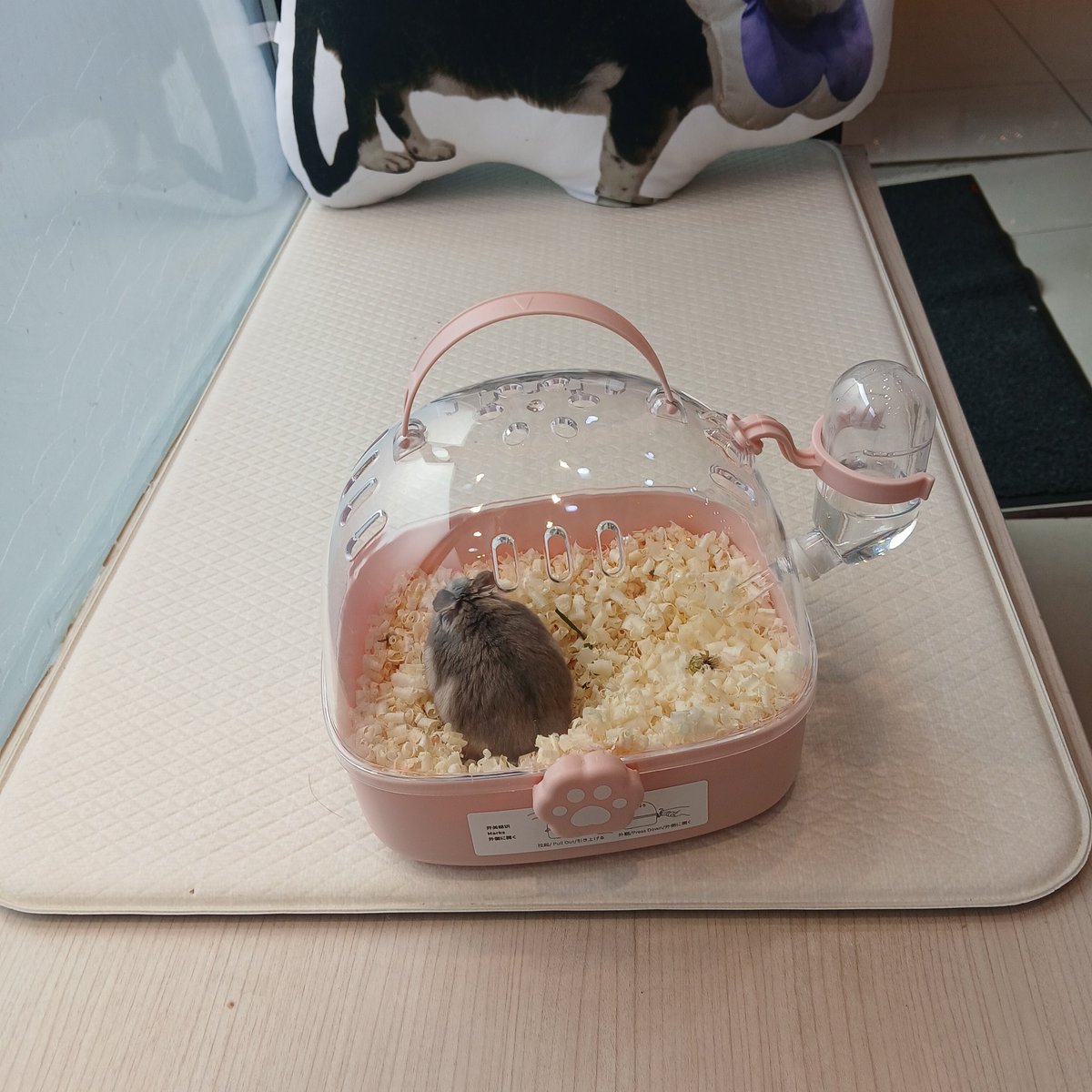 예거왕 tweet media