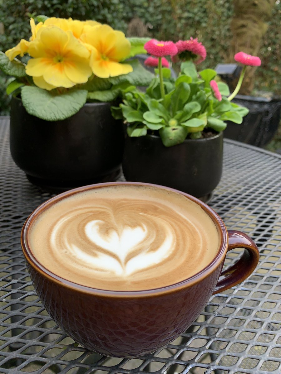 Chris 🌞 tweet media