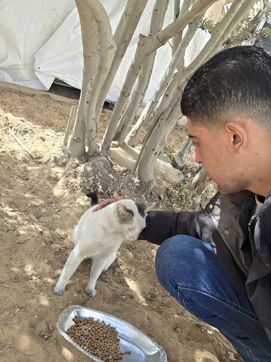 🐾help Animal Gaza🐾 tweet media