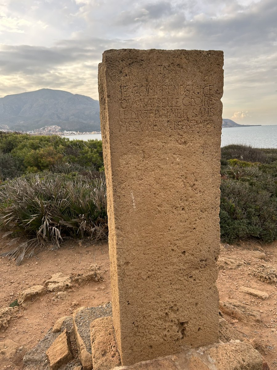 Denzelinho 🇩🇿(🇲🇽)ⵣ tweet media