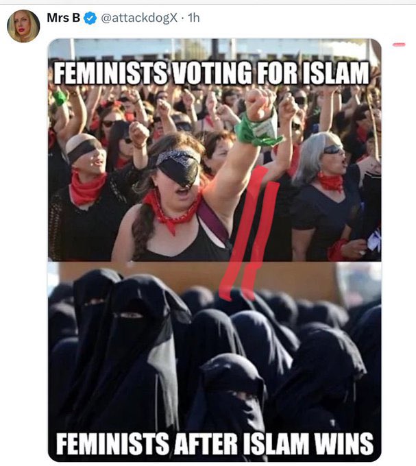 𝔉🅰𝒏 Karoline Leavitt tweet media