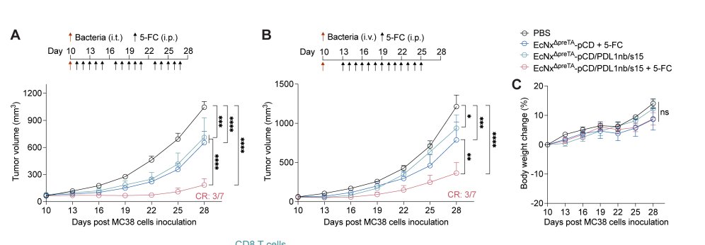 Dr. Thomas Ichim tweet media