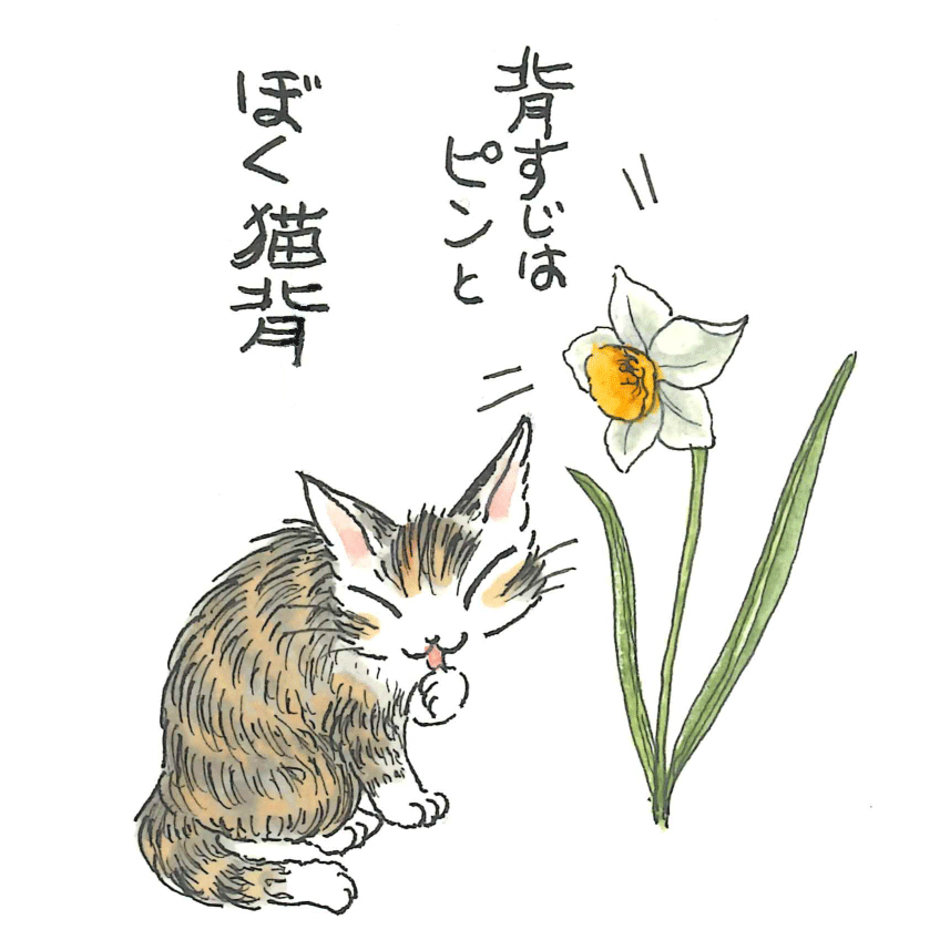 株式会社わちふぃーるど tweet media