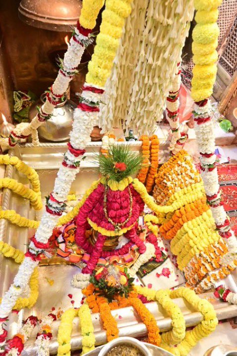 Organiser Weekly tweet media