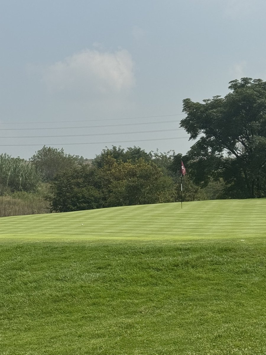 Matt Vincenzi tweet media