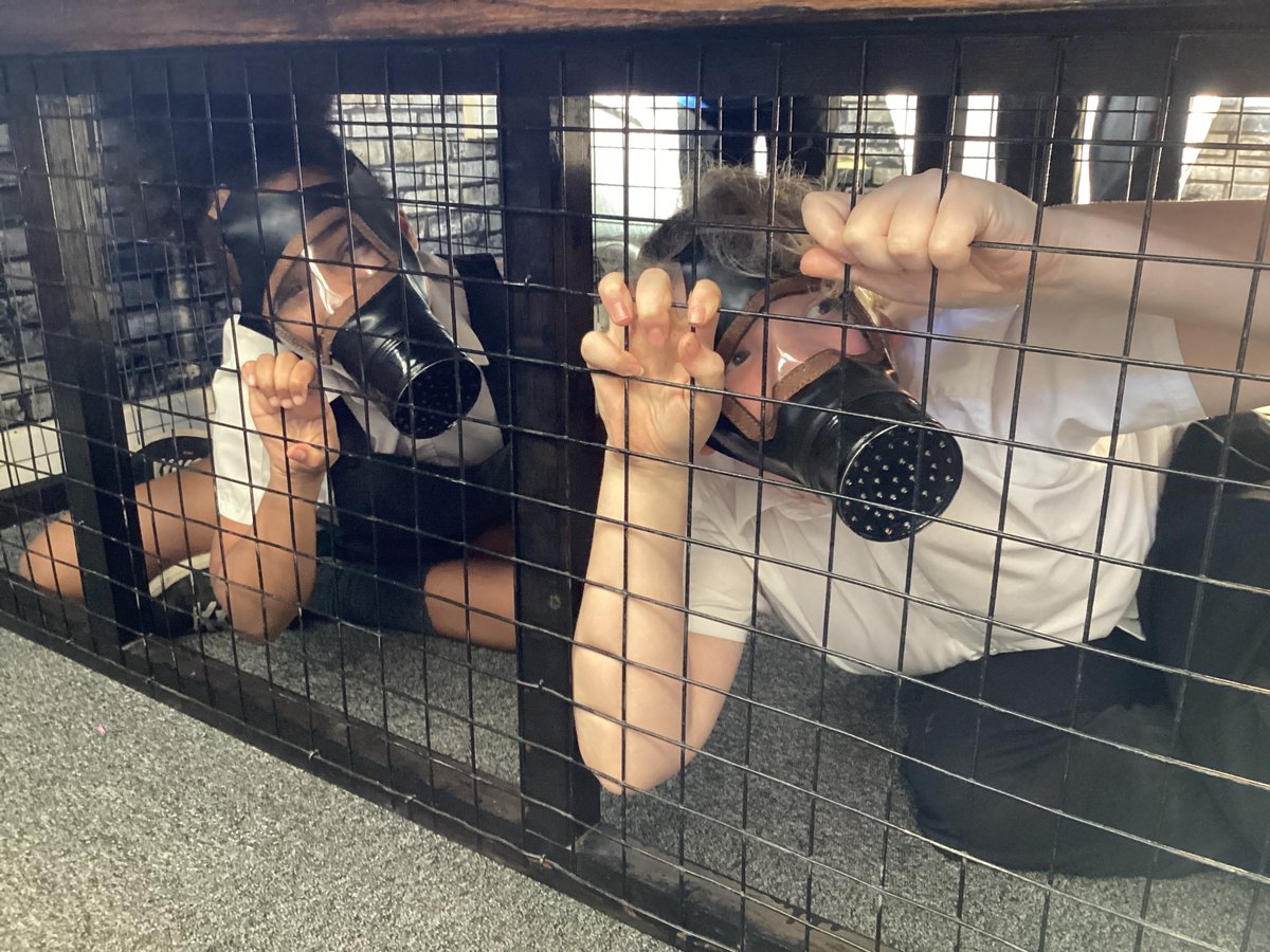 Timberley Academy tweet media