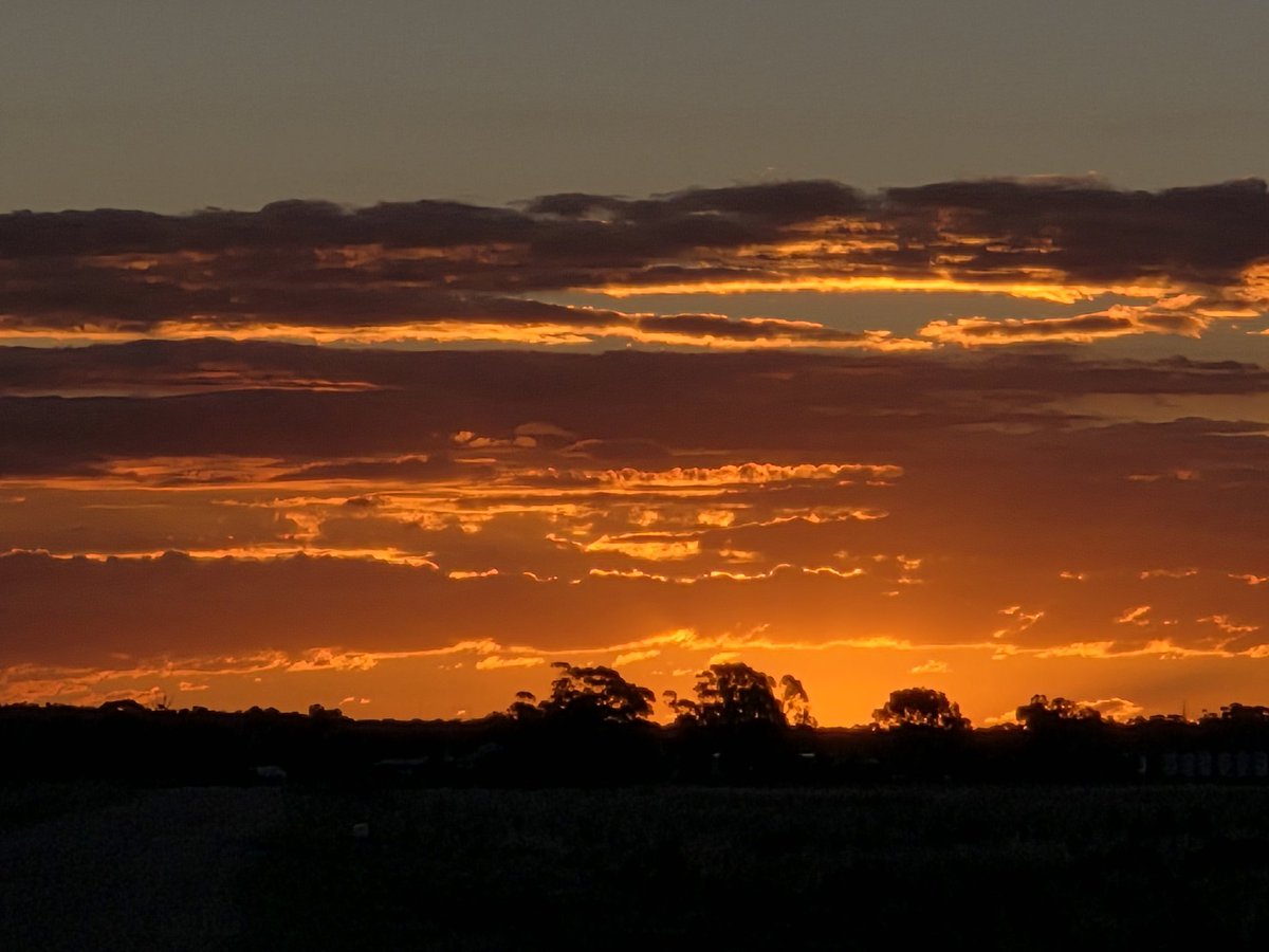 Mark Mortimer tweet media