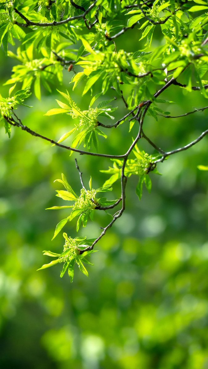 exportmart tweet media