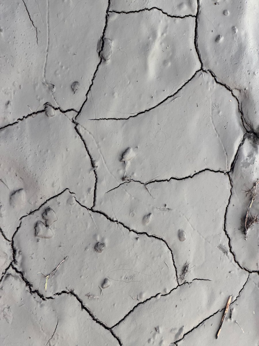 ClaudiuT tweet media