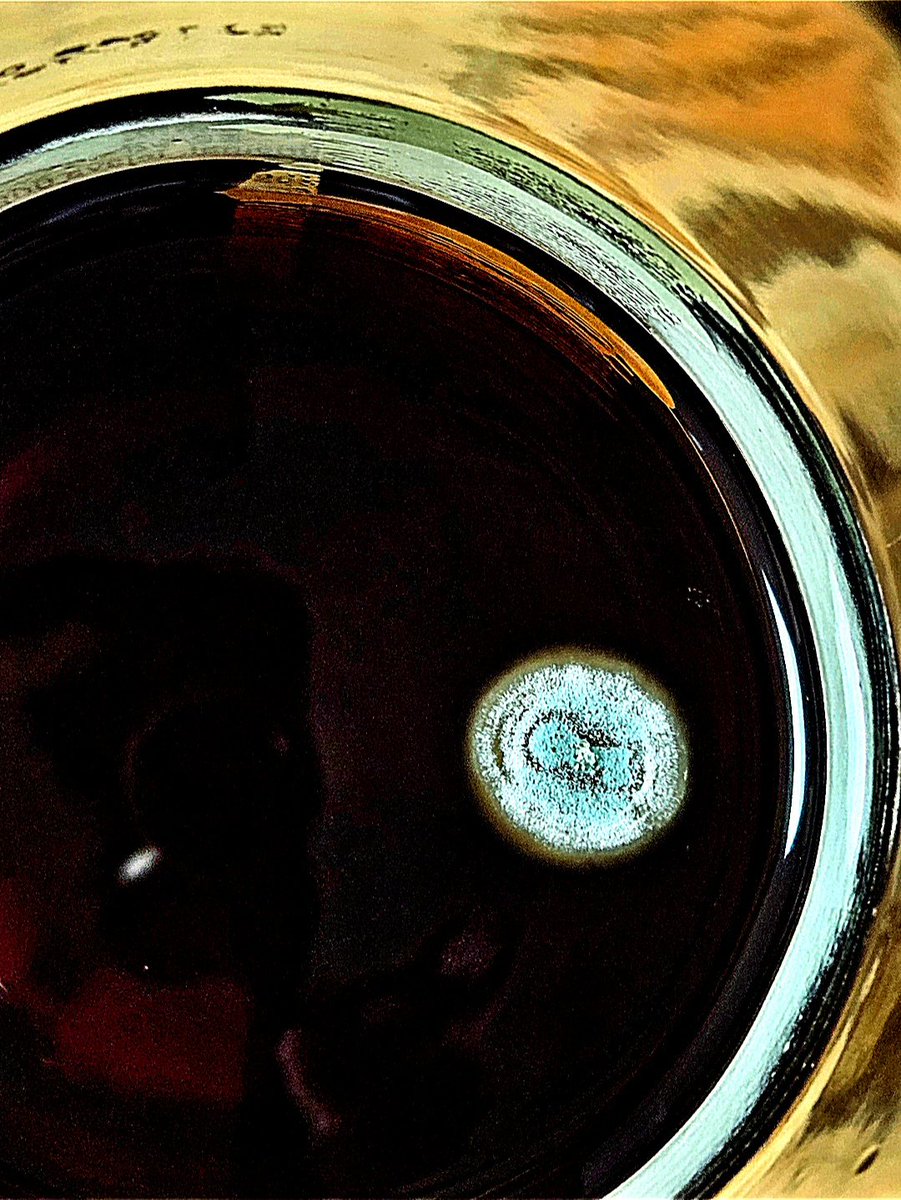 Mo_Lecular tweet media