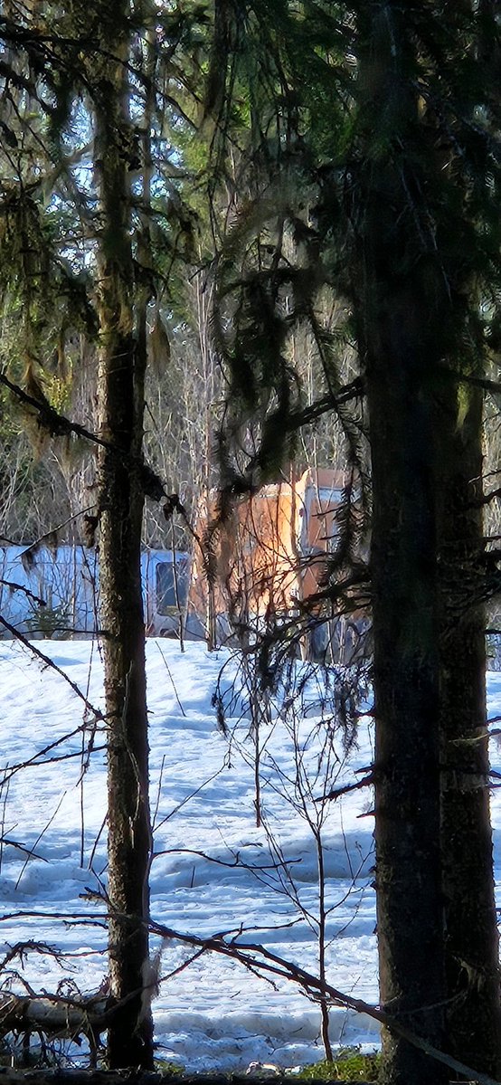 Carol klooster 🇸🇪 tweet media