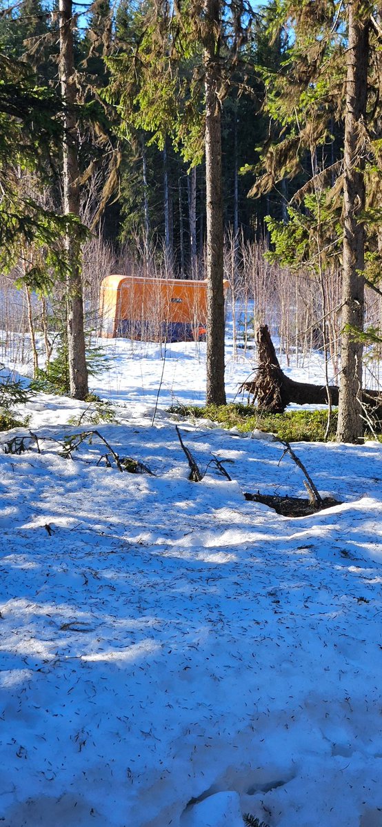 Carol klooster 🇸🇪 tweet media