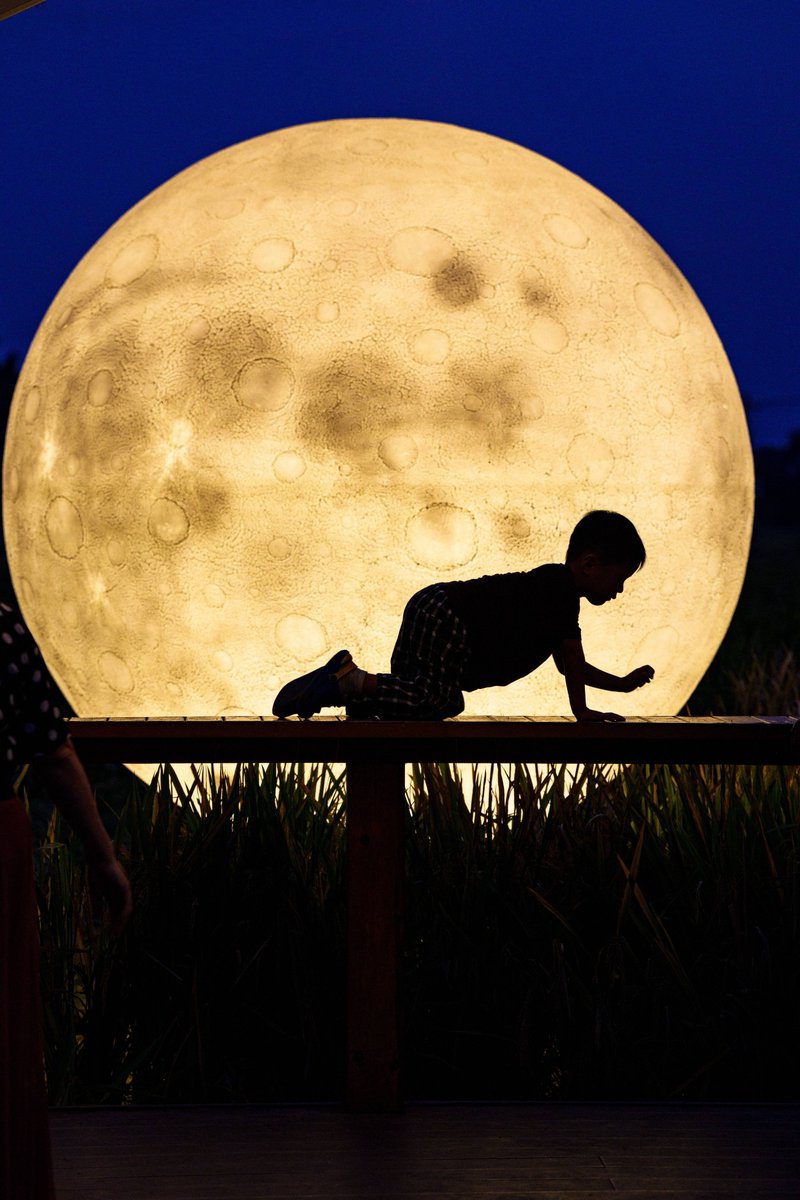 joseilton tweet media