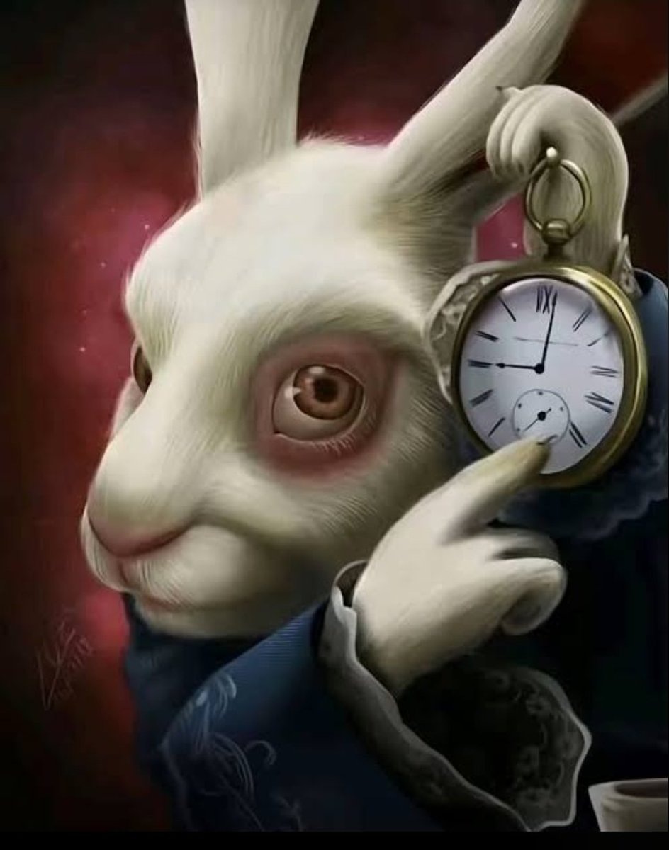 Aspen🪷 tweet media