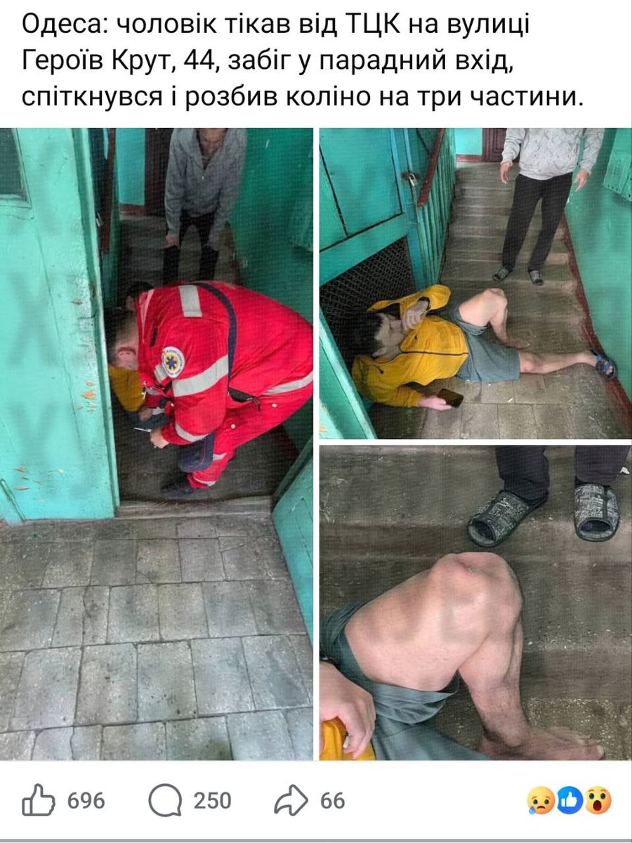 пан шаміль tweet media