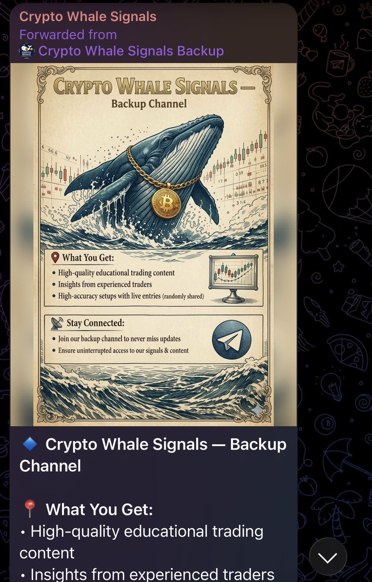 🔹 Crypto Whale Signals — Backup Channel

📍 What You Get:
• High-quality educational trading content
• Insights from experienced traders
• High-accuracy setups with live entries (randomly shared)

📡 Stay Connected:
• Join our backup channel to never miss updates
• Ensure