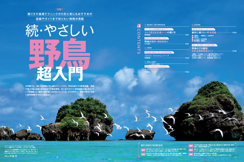 デジタルカメラマガジン4月号は好評発売中🌸　桜も咲いたことですし、鳥とのコラボレーションを狙いに出かけてみませんか。amazon.co.jp/dp/B0GQ36XYCM/