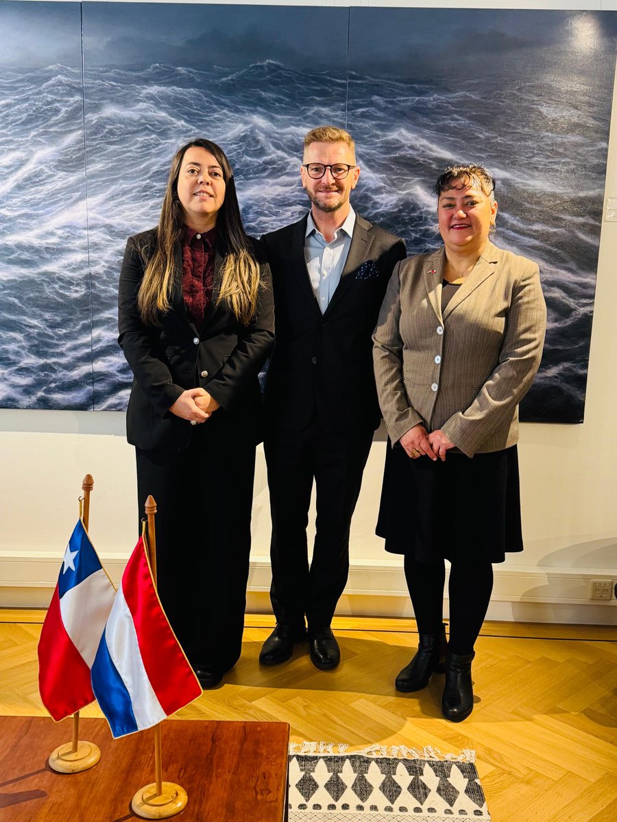 EmbChile Países Bajos tweet media