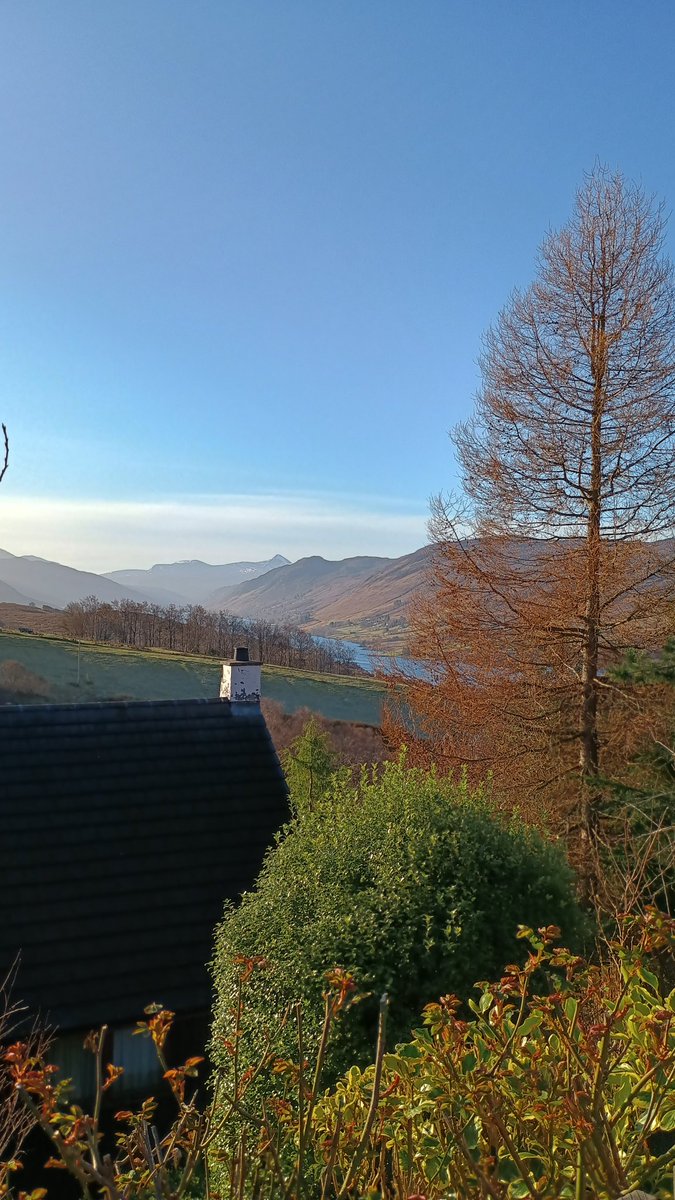 KatharineD tweet media