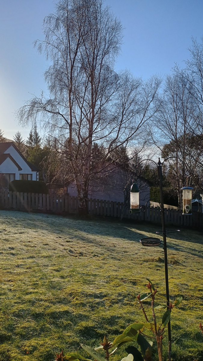 KatharineD tweet media