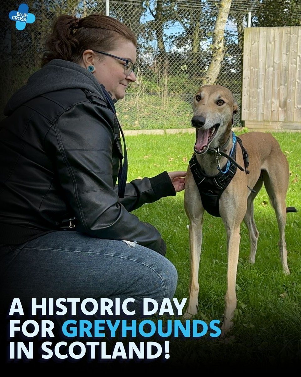 Blue Cross UK tweet media