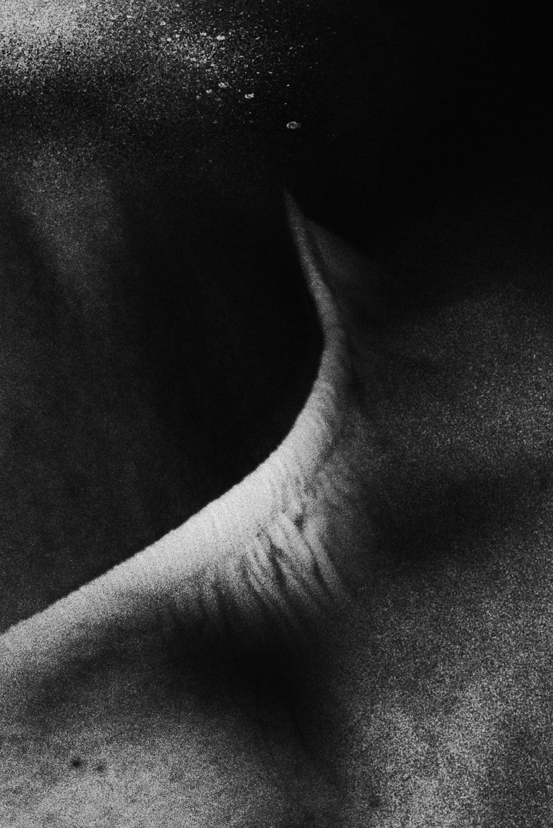 no faith tweet media