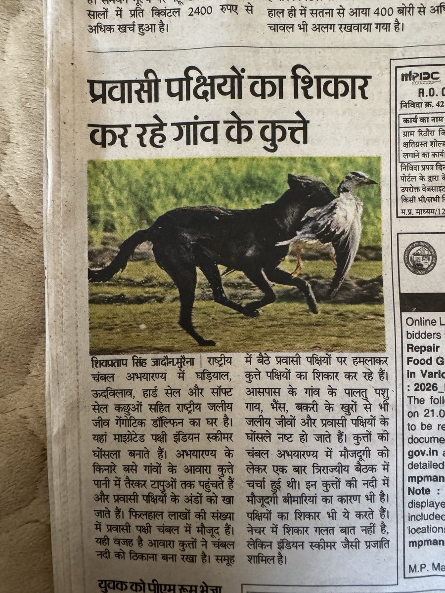 Temper Issues tweet media