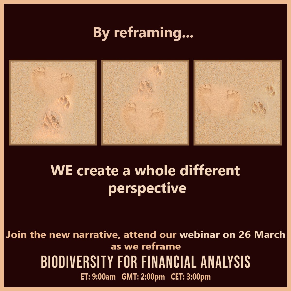 Endangered Wildlife OU tweet media