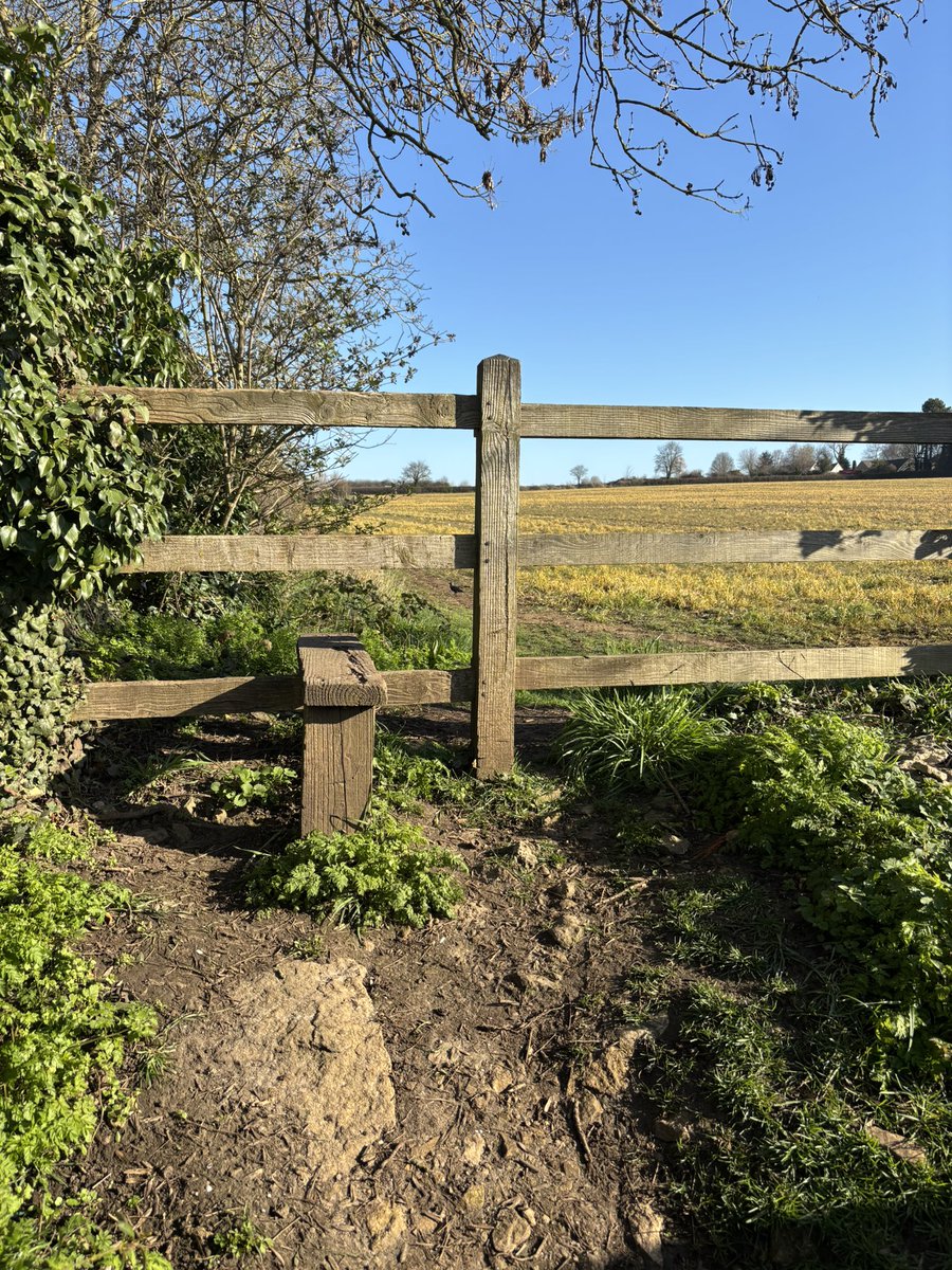 Ann Gate tweet media