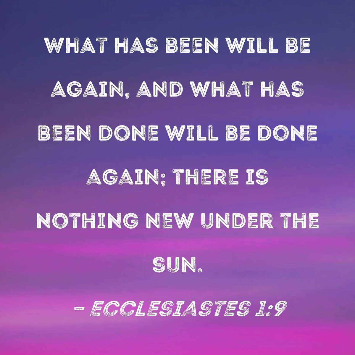 fifty2dogs tweet media