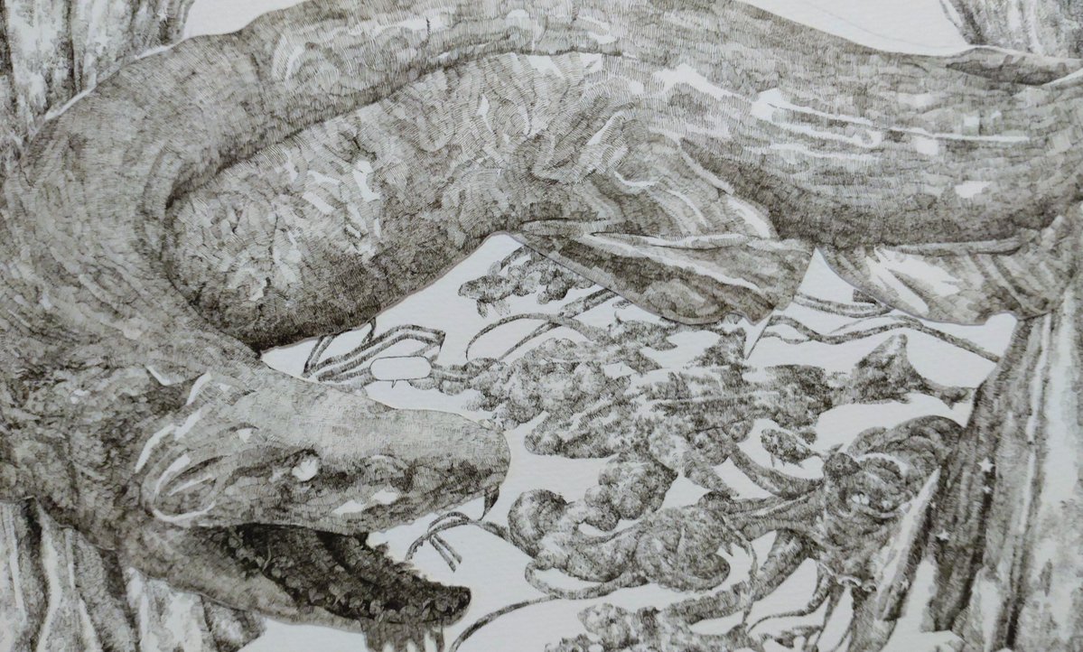 かものき tweet media