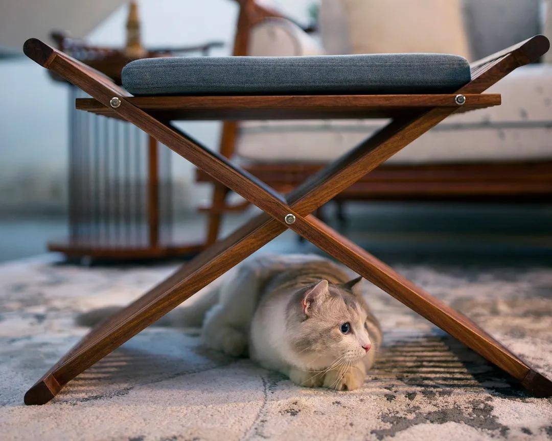 jacqueline valoz tweet media