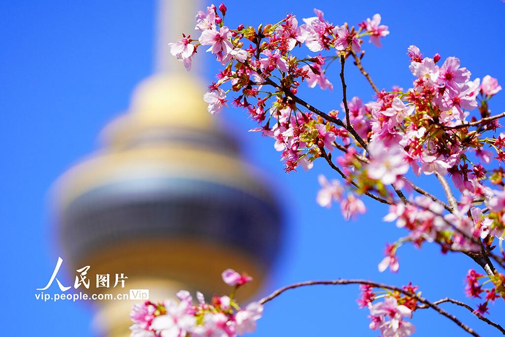 人民日報  People's Daily tweet media