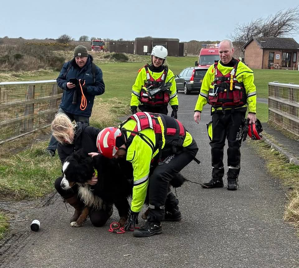 Brie's World 🌍🇬🇧🇨🇭 tweet media