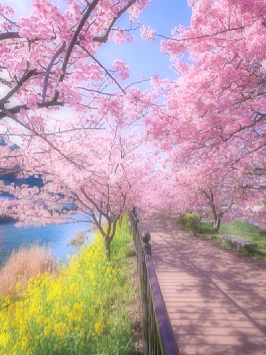 ス マ イ ル ʚ( ˶'ᵕ'˶)ɞ˚˙． ̖́- tweet media