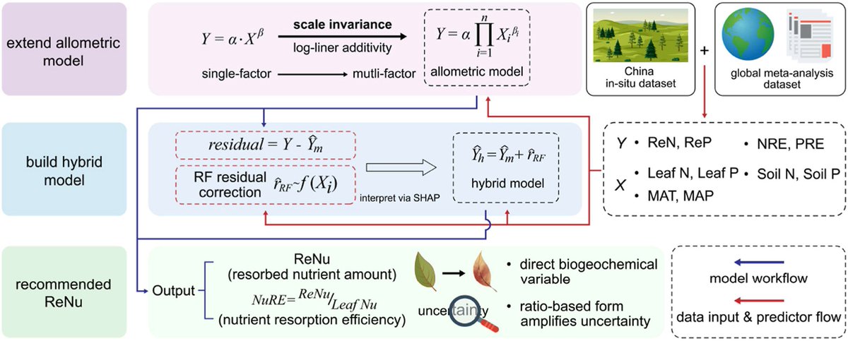 Osbert Sun tweet media