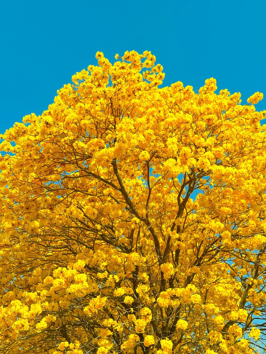 ลูกอีหน่อแตด tweet media