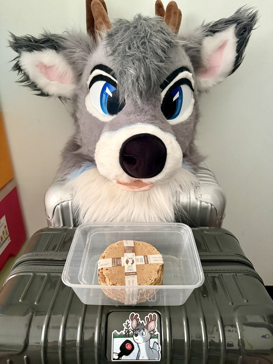 🦌 Riley 🦌🔜Thaitails🇹🇭, 大阪🇯🇵 tweet media