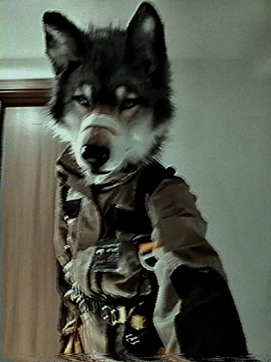 一坨废翔/Shio tweet media