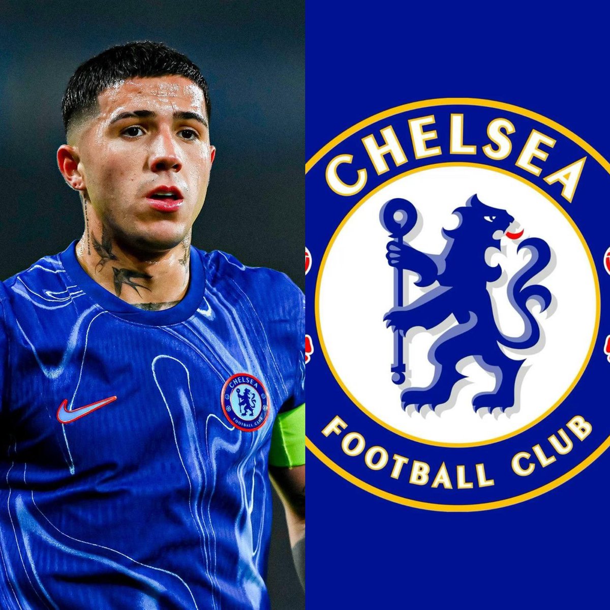 PrimeTouch tweet media