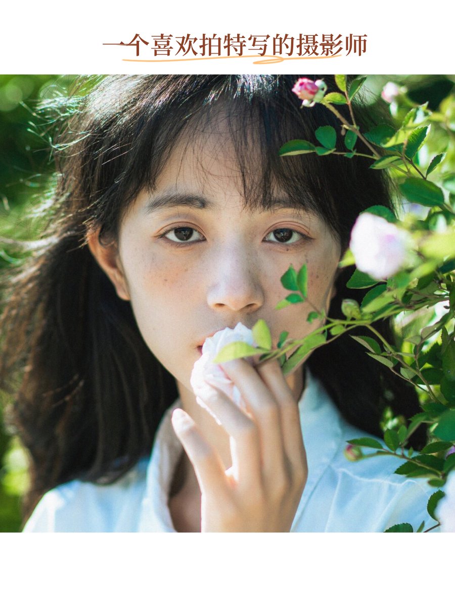 alfonsotf@gmail.com tweet media