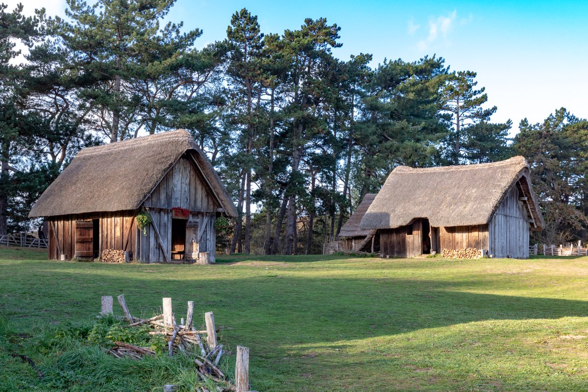 BuryStEdmunds&Beyond 👑 🐺 tweet media