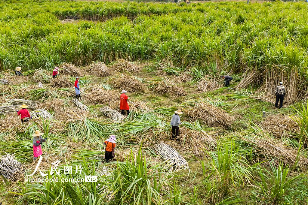 人民日報  People's Daily tweet media