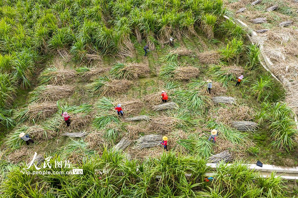 人民日報  People's Daily tweet media