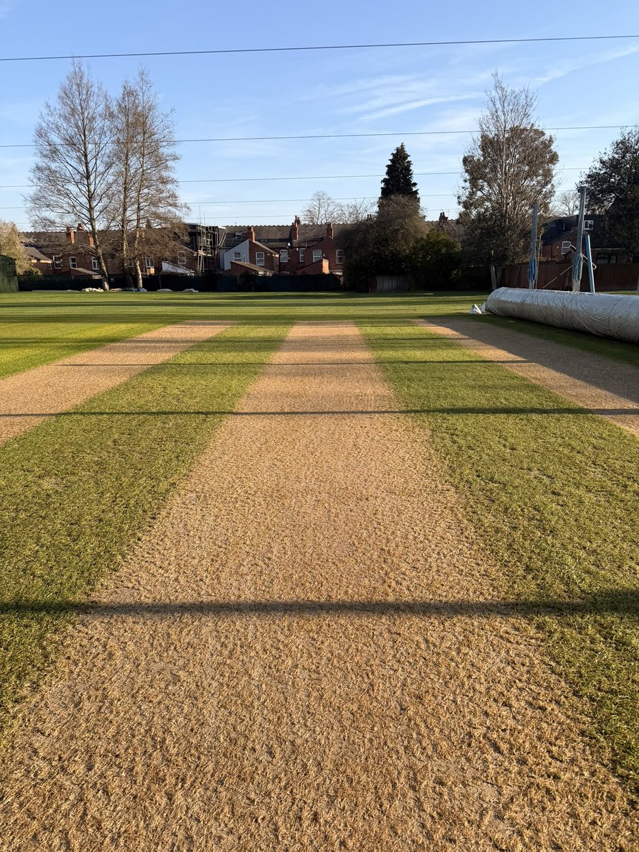 Groundsmanb3 tweet media