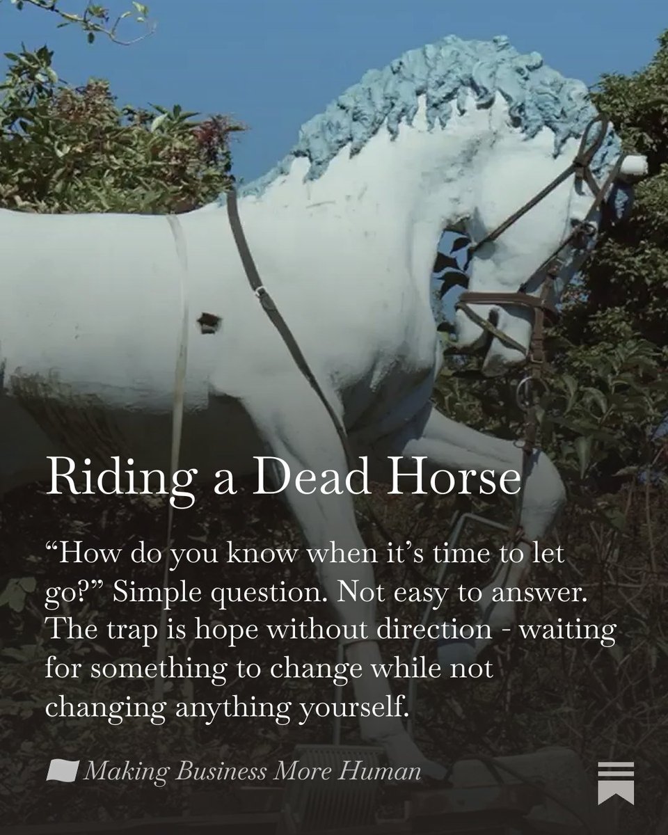 Manuel @ PIRATE 🏴‍☠️ tweet media