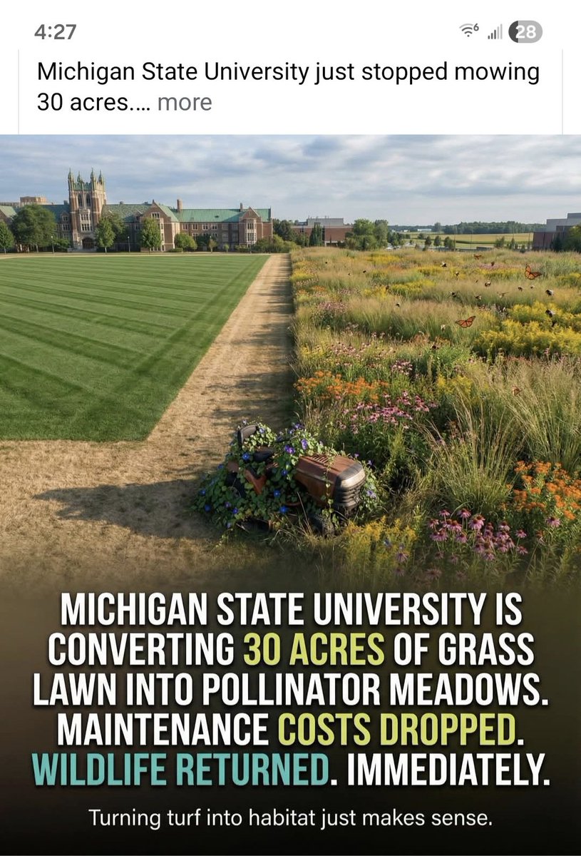 Nightwatchman tweet media