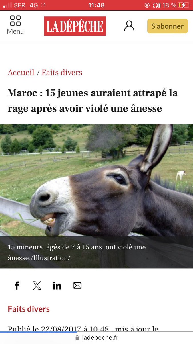 Lunatic_Altess🇸🇳🇵🇸 tweet media